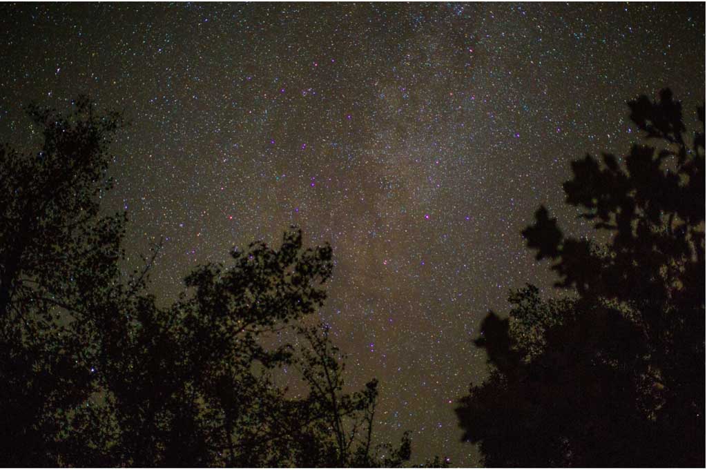 Starry Nights Best Stargazing Spots in the Smokies