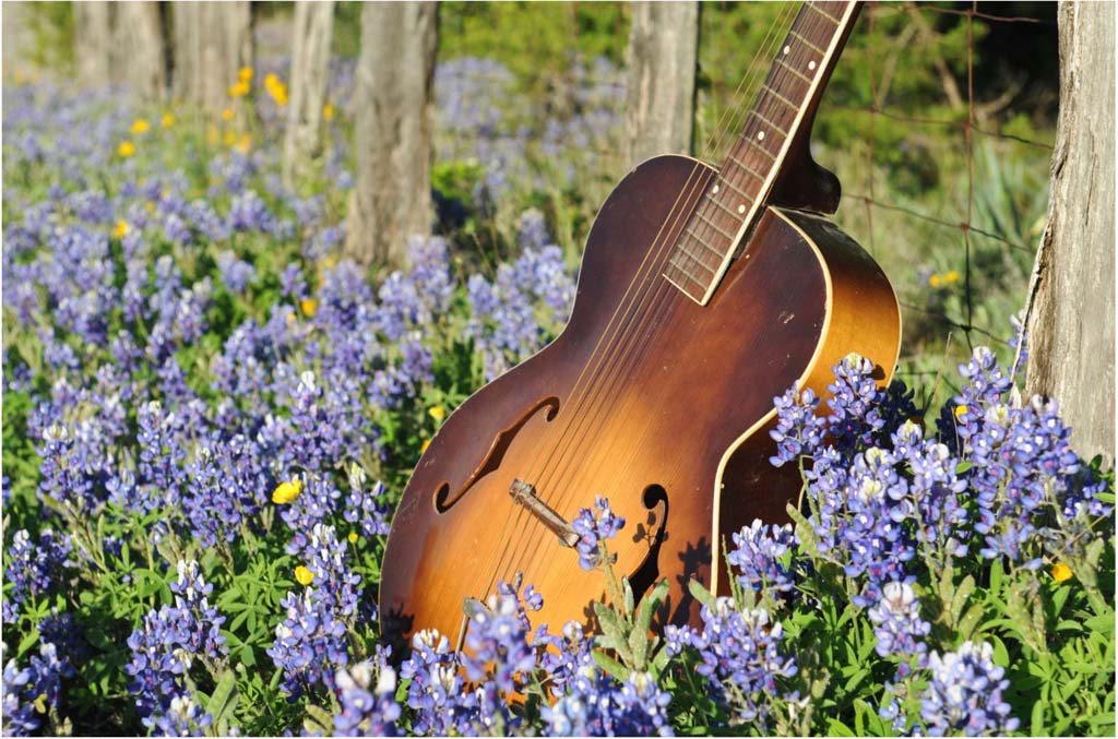 Summer Music Escapes Smoky Mountain Edition