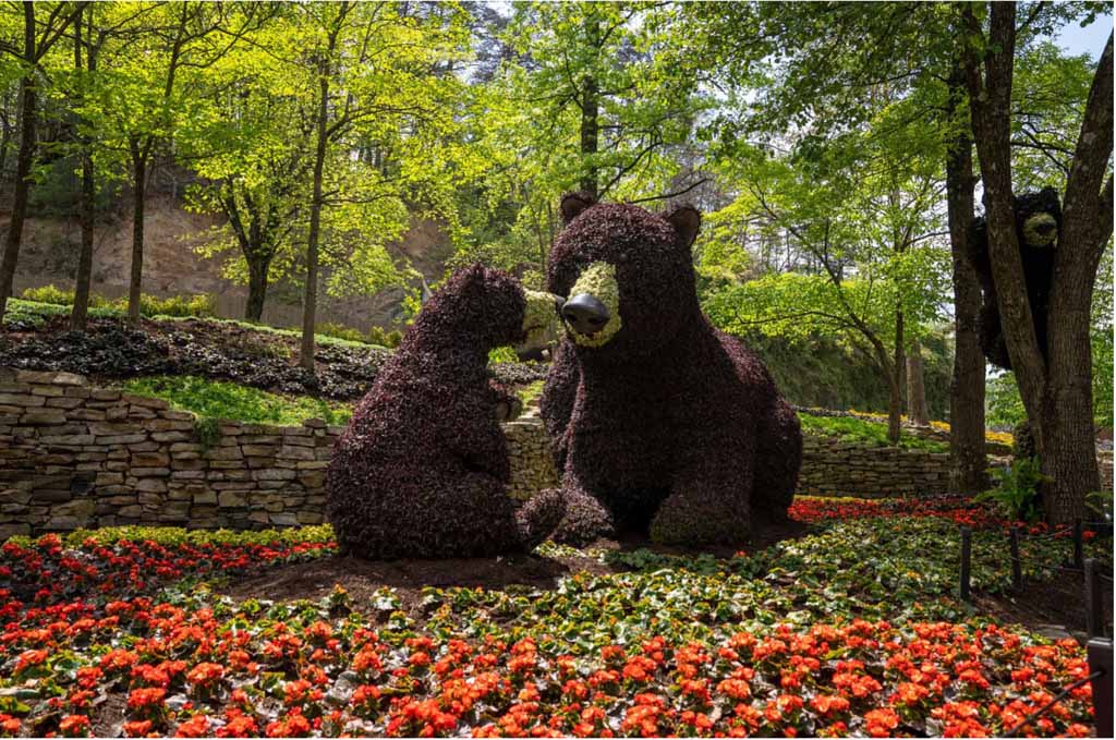 5 Reasons to Visit the Smokies in Spring