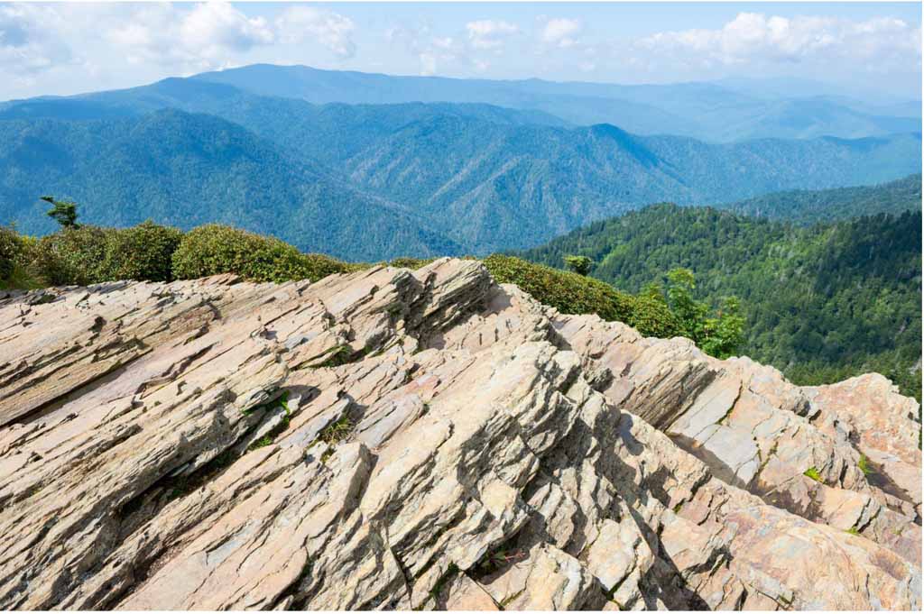 Best Places for Wildlife Viewing in the Smoky Mountains