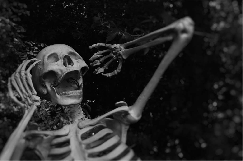 Halloween in the Smokies - thrills, chills and fall beauty