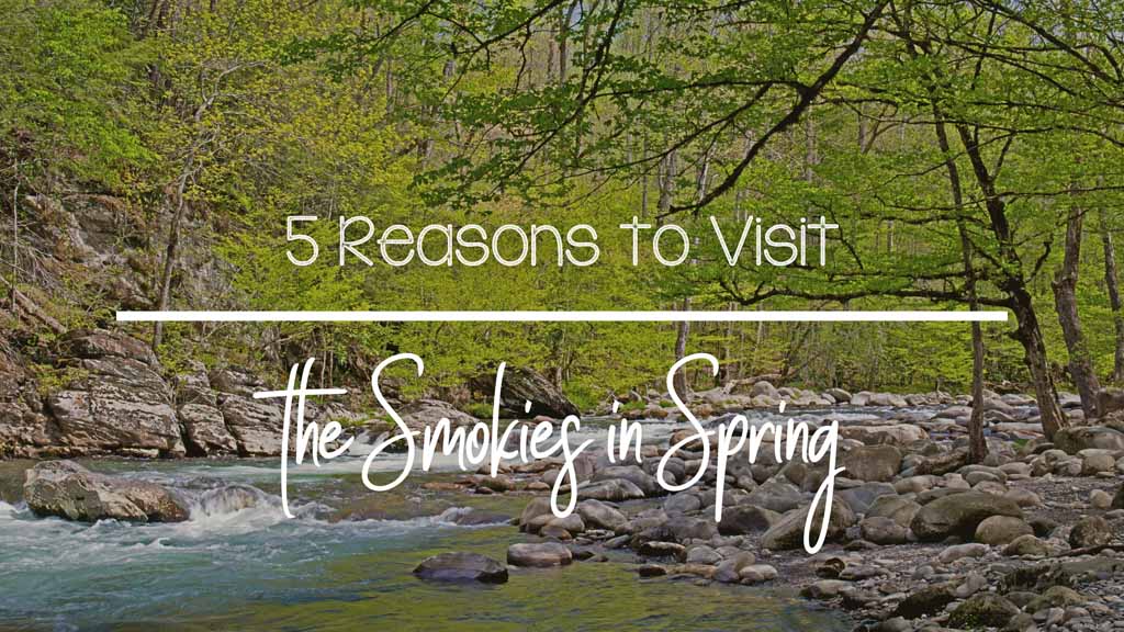5-Reasons-to-Visit-the-Smokies-in-Spring.jpg