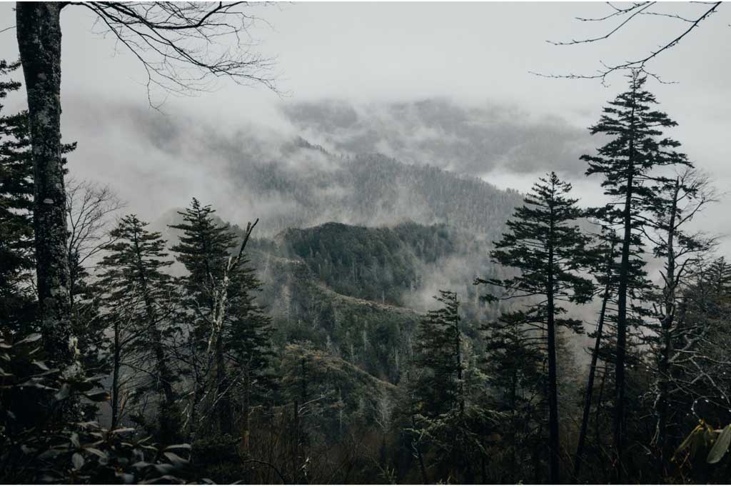 Discovering Hidden Gems - 5 Lesser-Known Trails of the Smokies