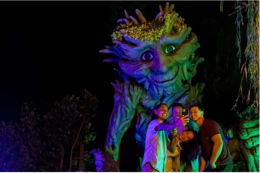 The Perfect Summer Day in the Smokies