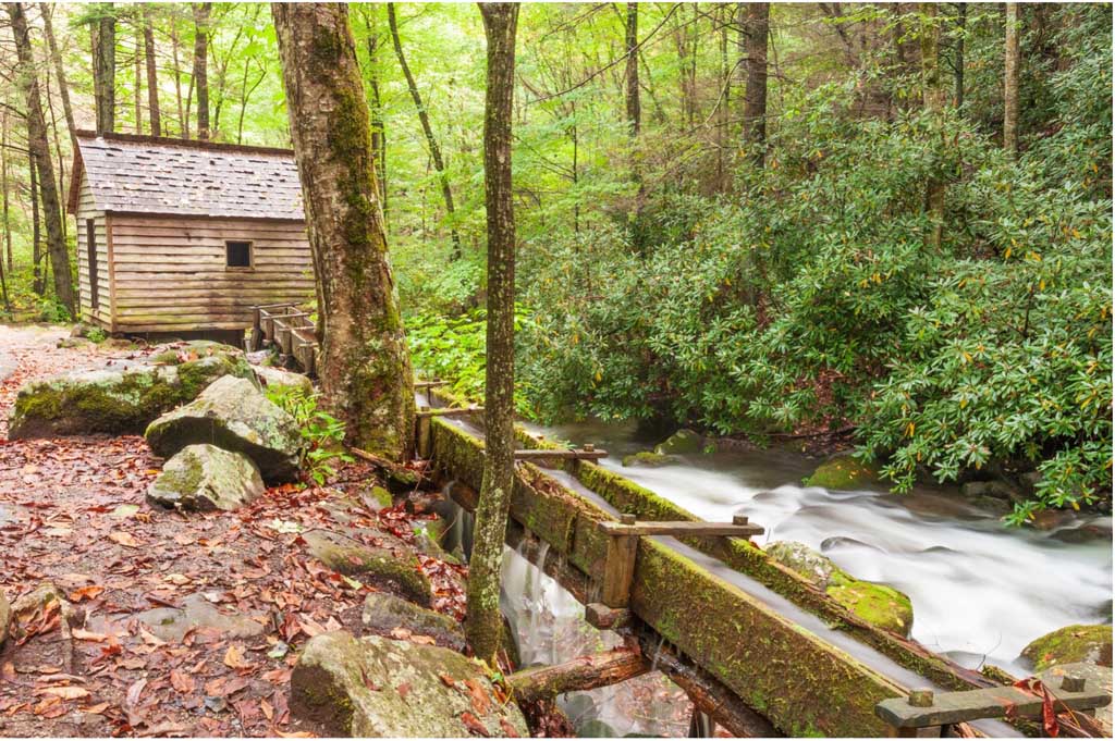 Scenic Drives: Exploring the Smoky Mountains by Car