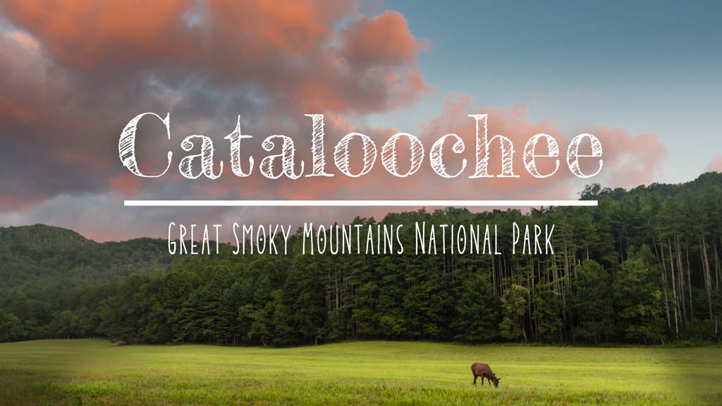 Cataloochee-Great-Smoky-Mountains-National-Park.jpg