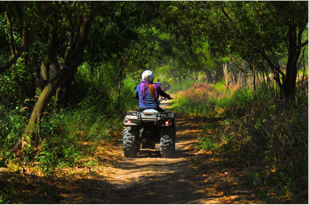 An Adventurer’s Guide to the Smoky Mountains