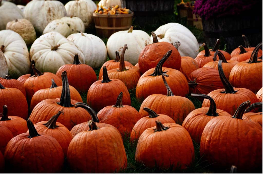 Halloween in the Smokies - thrills, chills and fall beauty