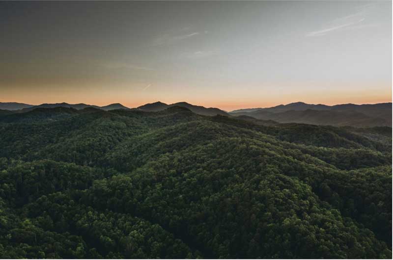 The Great Smoky Mountains National Park Celebrates its 90th Birthday