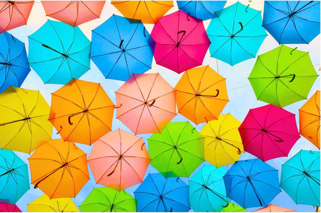 Dollywood Flower & Food Festival - 2024 edition