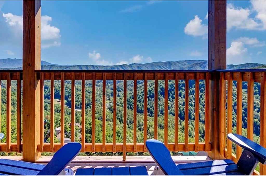 Best Places for Wildlife Viewing in the Smoky Mountains