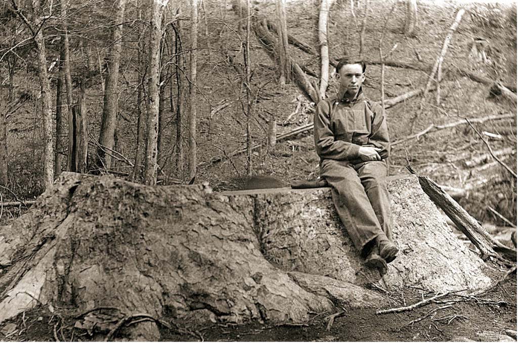 Cataloochee - Great Smoky Mountains National Park