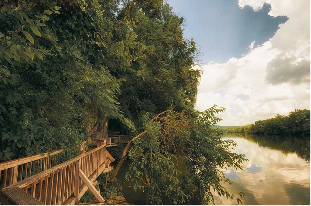 One Day in Knoxville - Must-See Attractions for Smoky Mountain Visitors