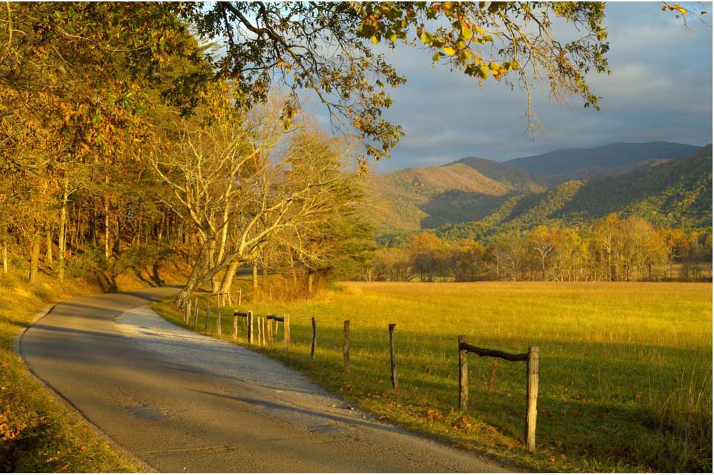 Scenic Drives: Exploring the Smoky Mountains by Car