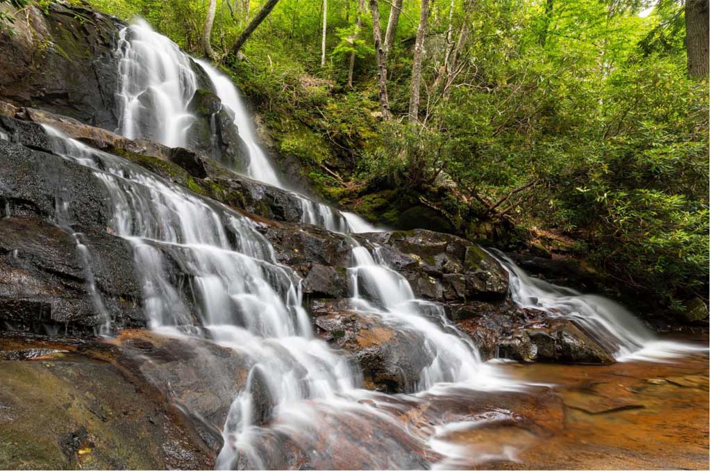 7 Beginner-Friendly Hikes in the Smoky Mountains
