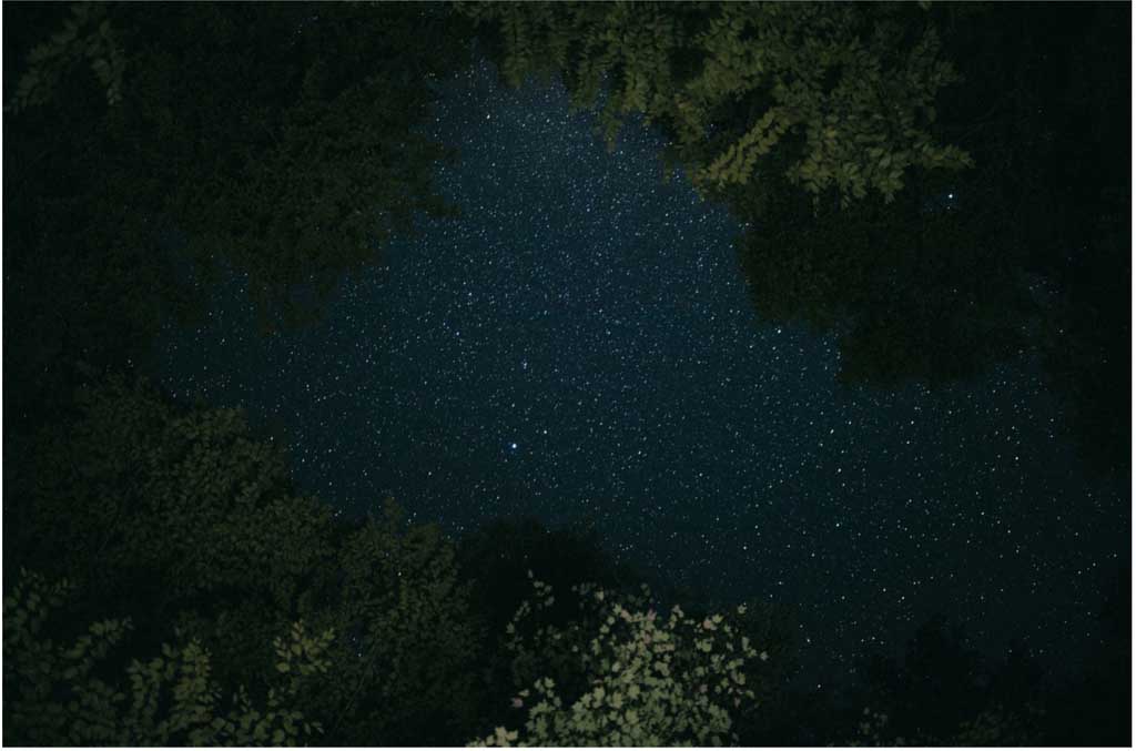 Starry Nights Best Stargazing Spots in the Smokies