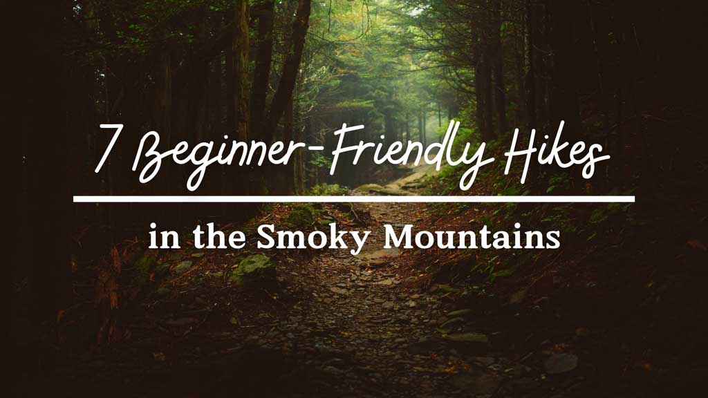 7 Beginner-Friendly Hikes in the Smoky Mountains