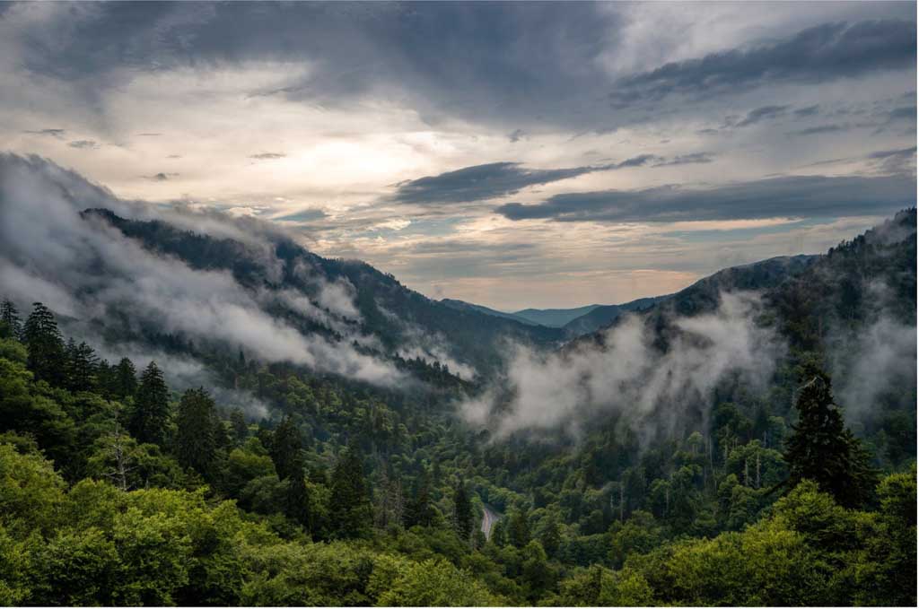 Scenic Drives: Exploring the Smoky Mountains by Car