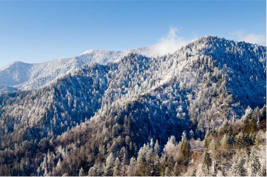 The Ultimate Guide to Fall and Winter Photography in the Smoky Mountains